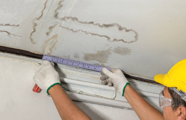 Reliable Mold Remediation contractor in Commerce, OK by Water Damage Irwin
